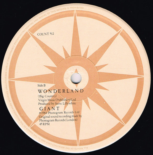 Big Country : Wonderland (12",45 RPM,Single)