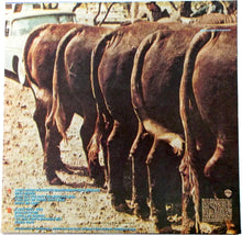 Nitty Gritty Dirt Band : Plain Dirt Fashion (LP,Album,Club Edition)