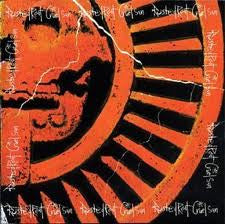 Rusted Root : Cruel Sun ()