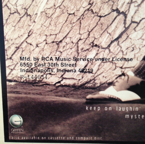 Ric Ocasek : This Side Of Paradise (LP,Album,Club Edition)