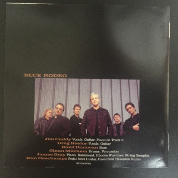 Blue Rodeo : The Days In Between (Album)