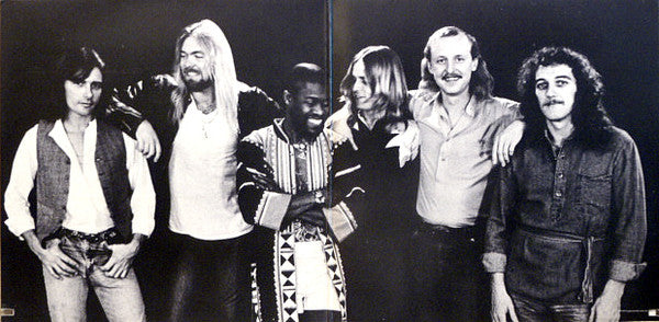 Allman Brothers Band, The : Enlightened Rogues (LP,Album)