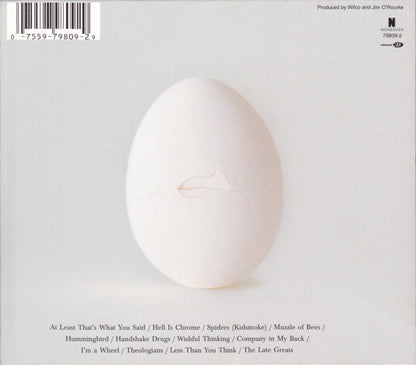Wilco : A Ghost Is Born (Album,Enhanced)