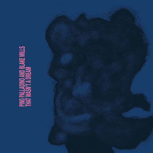Pino Palladino & Blake Mills - That Wasn't A Dream (LP Vinyl) UPC: 602478375873