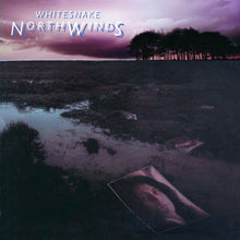 Whitesnake - NorthWinds (Rocktober 2024, Black Ice LP Vinyl, Brick & Mortar Exclusive) UPC: 603497823888