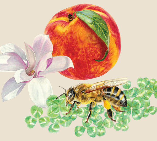 Grateful Dead, The : Spring 1990 (The Other One) (HDCD)