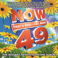 Various : Now That's What I Call Music! 49 (Compilation)