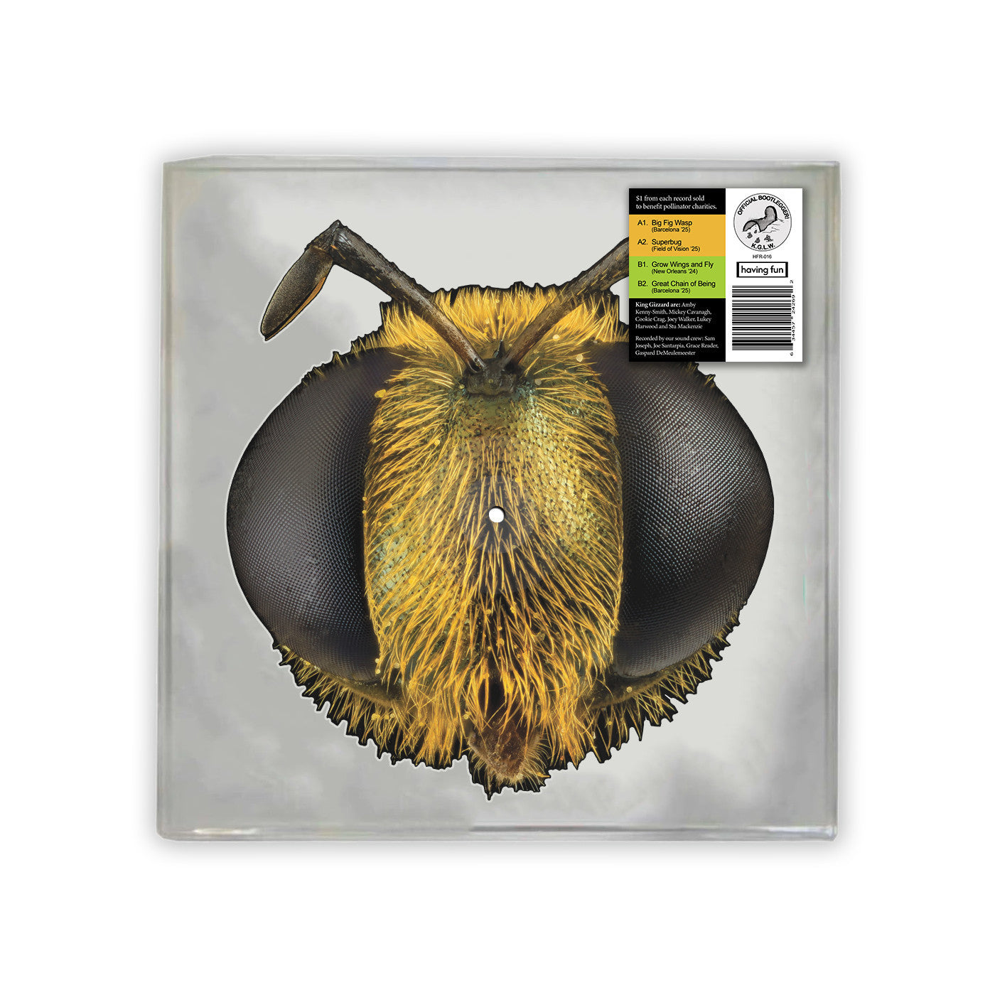 King Gizzard and The Lizard Wizard - Big Fig Wasp (RSD 2026, 12inch Shaped Vinyl)