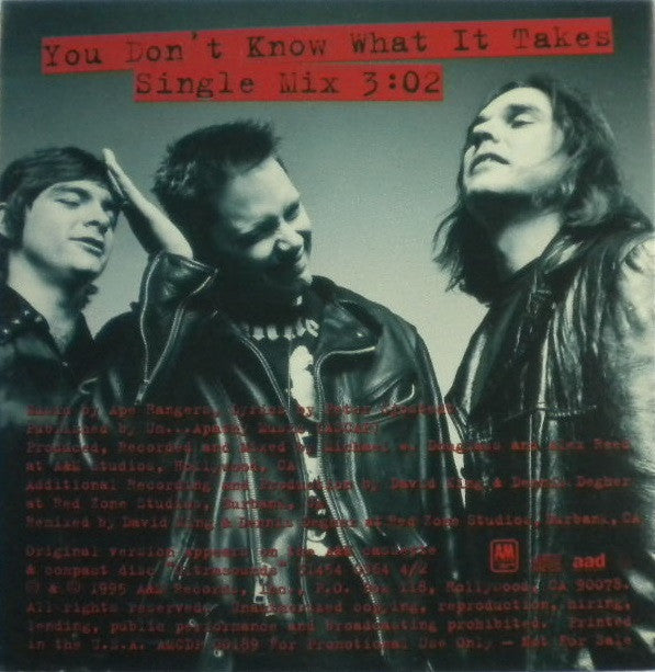 Ape Hangers : You Don't Know What It Takes (Single,Promo)