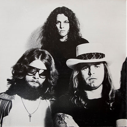 Lynyrd Skynyrd : Street Survivors (LP,Album,Reissue)