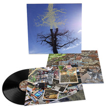 Laetitia Sadier - Rooting For Love (LP Vinyl) UPC: 781484087410
