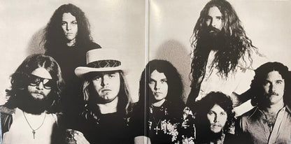Lynyrd Skynyrd : Street Survivors (LP,Album,Reissue)