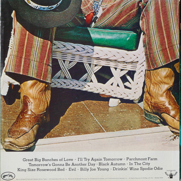 Charlie Daniels : Te John, Grease & Wolfman (LP,Album)