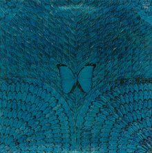Santana : Borboletta (LP,Album)