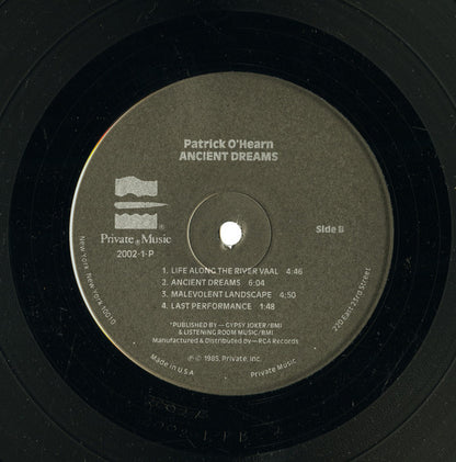 Patrick O'Hearn : Ancient Dreams (LP,Album)