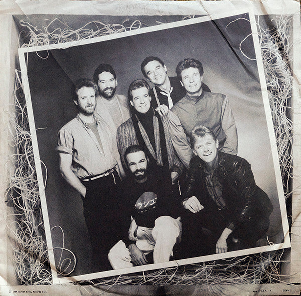 Chicago (2) : Chicago 17 (LP,Album)