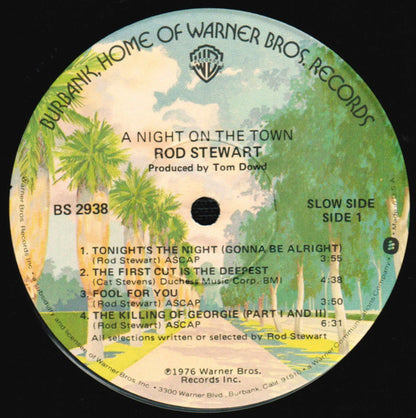 Rod Stewart : A Night On The Town (LP,Album,Stereo)