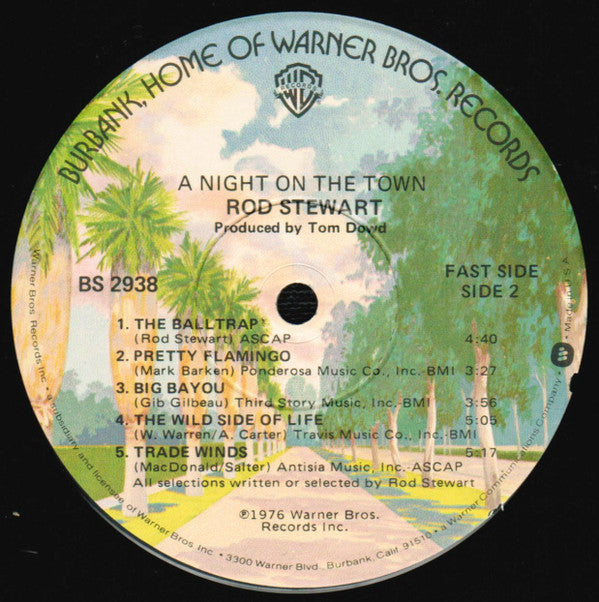 Rod Stewart : A Night On The Town (LP,Album,Stereo)
