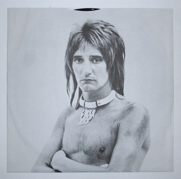 Rod Stewart : A Night On The Town (LP,Album,Stereo)
