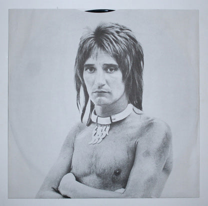 Rod Stewart : A Night On The Town (LP,Album,Stereo)