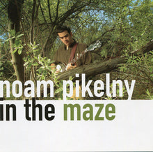 Noam Pikelny : In the Maze (Album,Stereo)