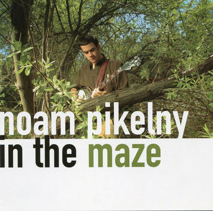 Noam Pikelny : In the Maze (Album,Stereo)
