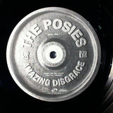 Posies, The : Amazing Disgrace (LP,Album)