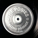 Posies, The : Amazing Disgrace (LP,Album)