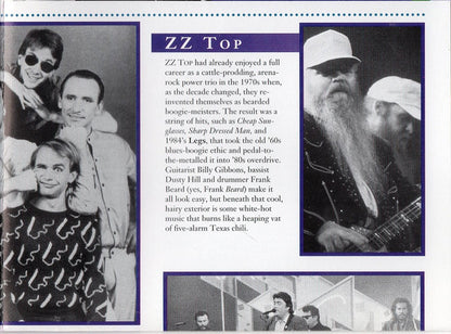 Various : Sounds Of The Eighties - The Rockin' Eighties (Compilation)