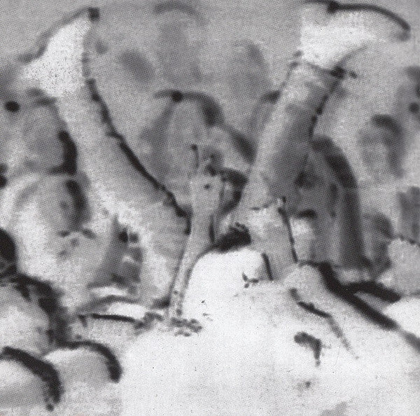 Slayer : Undisputed Attitude (Album,Reissue)