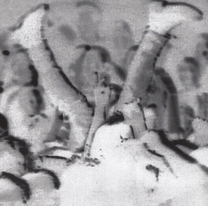 Slayer : Undisputed Attitude (Album,Reissue)