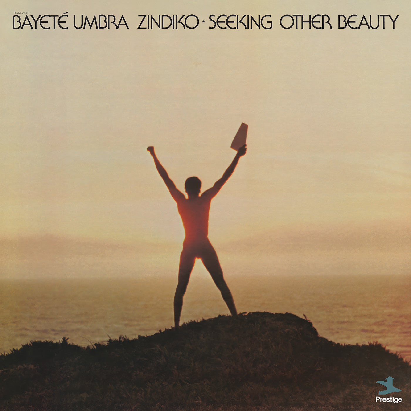 Bayeté Umbra Zindiko - Seeking Other Beauty (All-Analog, Plasma LP Vinyl) UPC: 848064020530