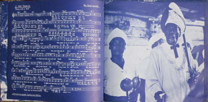 Lloyd Wilks With The Soulettes : Jamaica Magic (LP,Album)