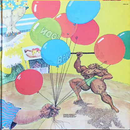 Beach Boys, The : Endless Summer (LP,Compilation)