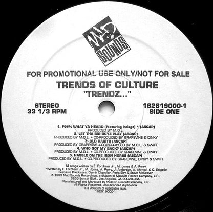 Trends Of Culture : Trendz... (LP,Album,Promo)