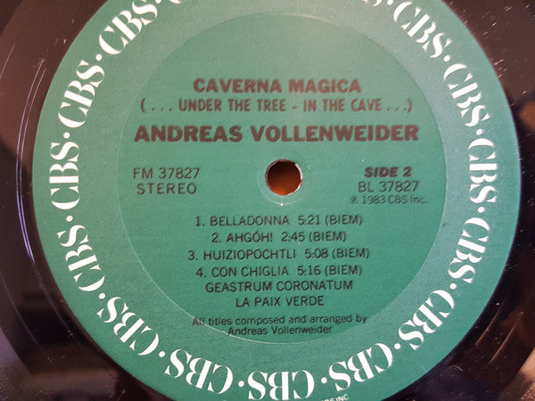 Andreas Vollenweider : Caverna Magica (...Under The Tree - In The Cave...) (LP,Album)