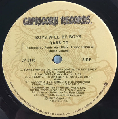 Rabbitt : Boys Will Be Boys! (LP,Album)
