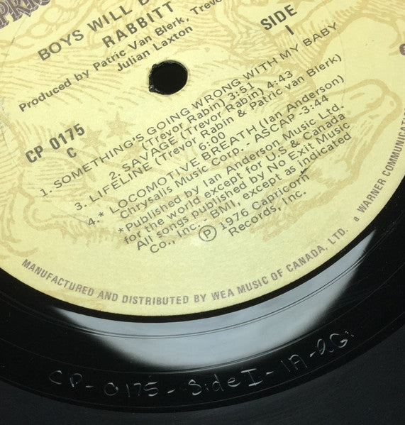 Rabbitt : Boys Will Be Boys! (LP,Album)