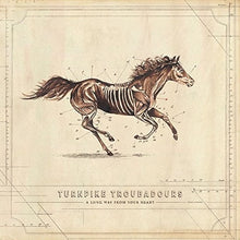 Turnpike Troubadours - A Long Way From Your Heart (LP Vinyl) UPC: 752830445918