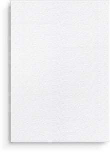 BTS - BTS The 5th Album 'ARIRANG' (Living Legend Version, CD) UPC: 198704872631