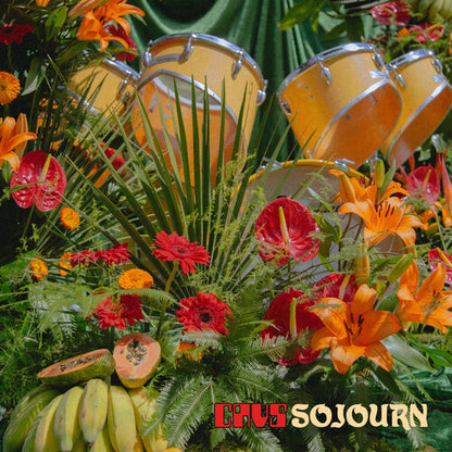 Cavs - Sojourn (Orange LP Vinyl) UPC: 198704956850