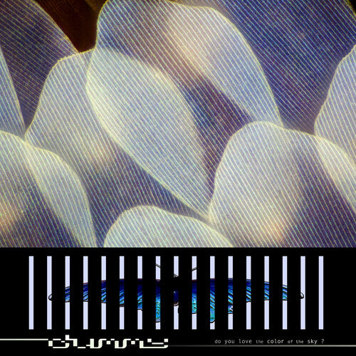 Dummy - Do You Love the Color of the Sky? (CD) UPC:&nbsp;644110053626