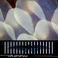Dummy - Do You Love the Color of the Sky? (CD) UPC:&nbsp;644110053626