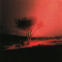 Joji - Piss In The Wind alnum artwork cover