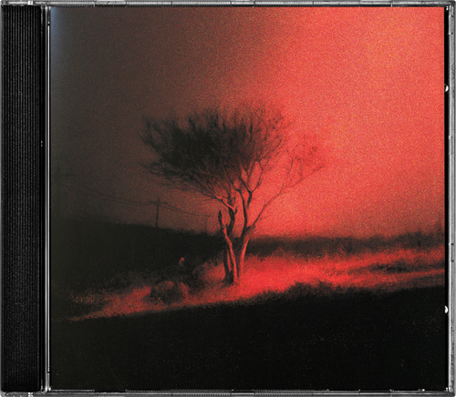 Joji - Piss In The Wind (CD) UPC: 198704742835