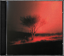 Joji - Piss In The Wind (CD) UPC: 198704742835