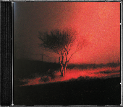 Joji - Piss In The Wind (CD) UPC: 198704742835