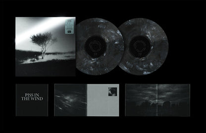 Joji - Piss In The Wind (Deluxe Edition) (RSD BF 2026, 2LP Black Pearl Vinyl) UPC: 823375296768