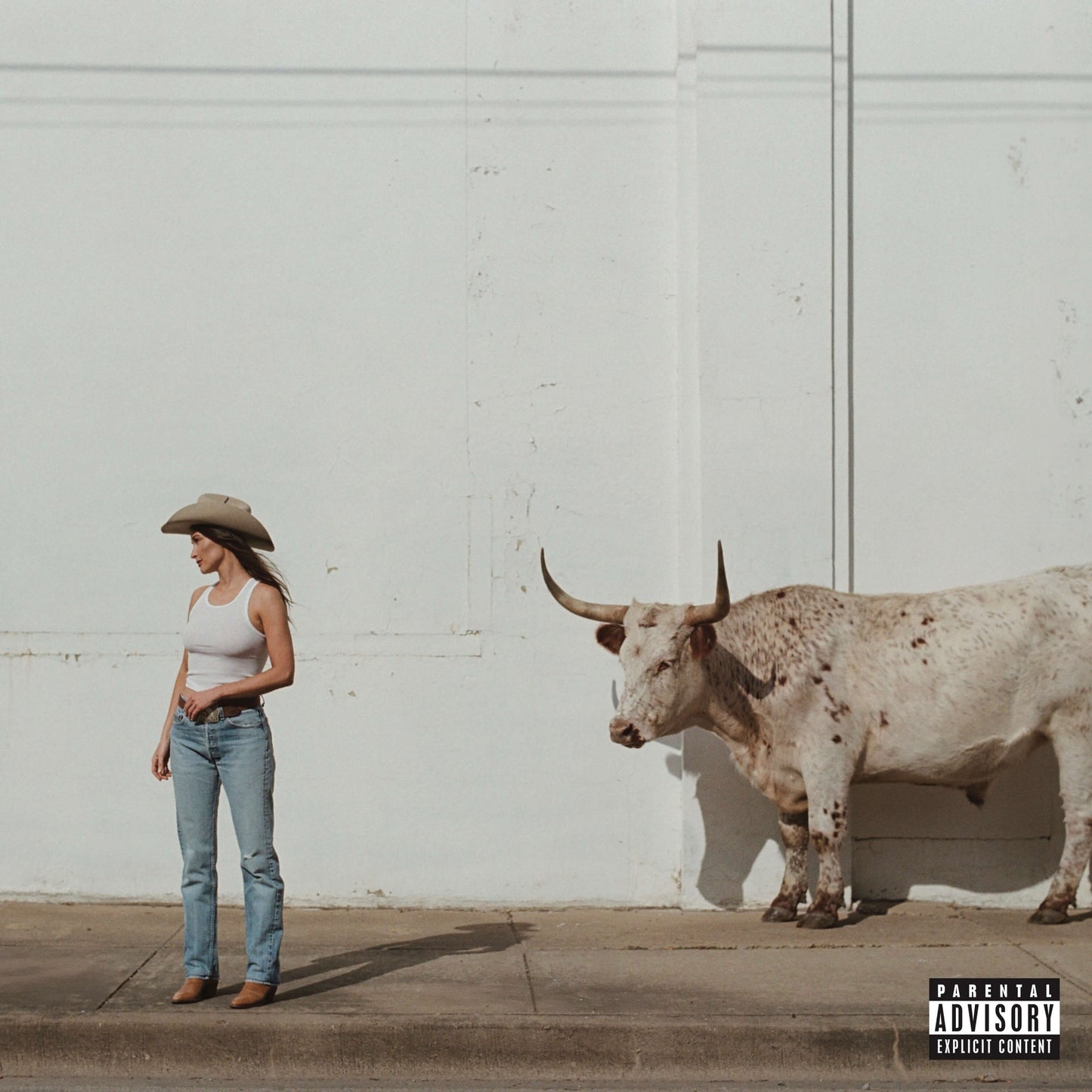 Kacey Musgraves - Middle of Nowhere album artwork cover