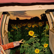 Kevin Morby - Little Wide Open album artwork cover